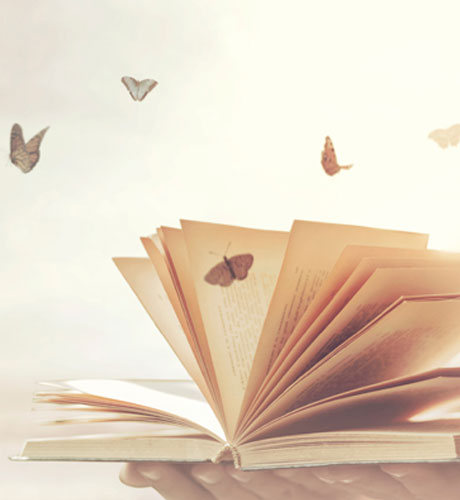 Nourishyou-Akashic-Book